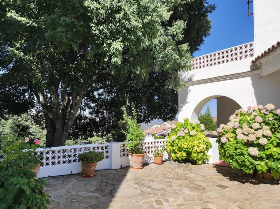Villa Casa Pomar - Preciosa Casa Con Piscina Y Vistas A La Sierra Grazalema Exterior foto