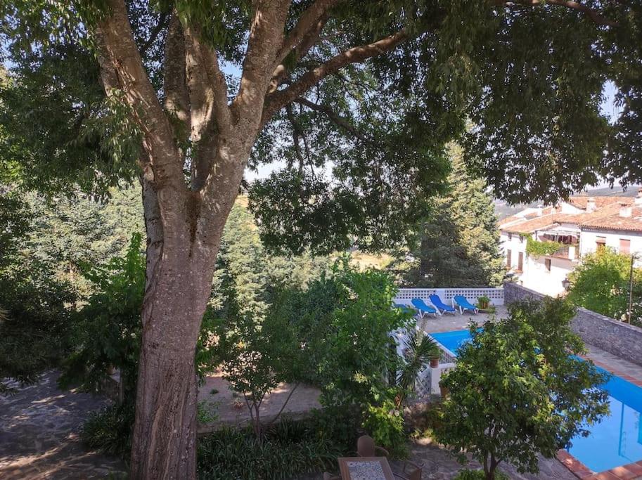 Villa Casa Pomar - Preciosa Casa Con Piscina Y Vistas A La Sierra Grazalema Exterior foto